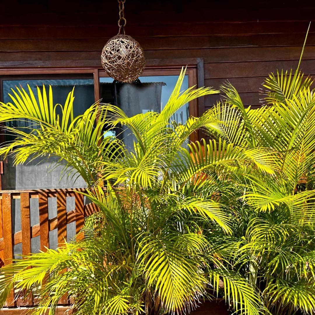 Ecoco Holbox - Ecochic - Cabanas De Madera - Holbox Retreat Ilha Holbox Exterior foto